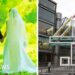 Married at First Sight UK rape allegations 'serious', says government
