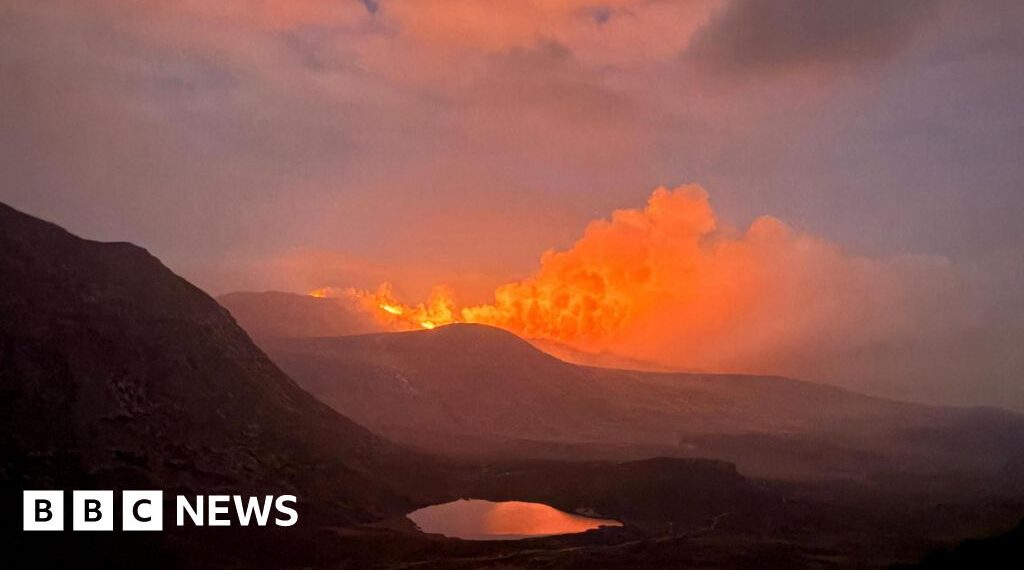 'Mournes could take centuries to recover from wildfires'