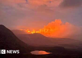 'Mournes could take centuries to recover from wildfires'