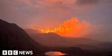 'Mournes could take centuries to recover from wildfires'