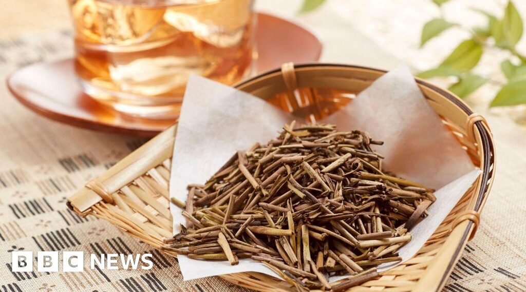 Move over matcha. Hojicha is coming to a cafe near you