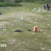 National Trust appeal after beauty spot littering