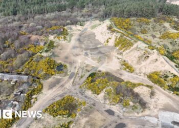 Nature haven 'trashed' after four-year wait for protection decision