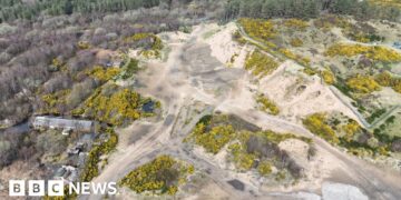 Nature haven 'trashed' after four-year wait for protection decision