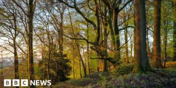Nature recovery zones inspired by Attenborough