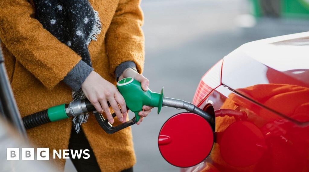 No evidence of widespread fuel price-gouging, watchdog says