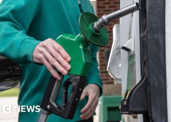 Oil prices ease as US pauses Project Freedom to seek deal with Iran