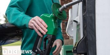 Oil prices ease as US pauses Project Freedom to seek deal with Iran