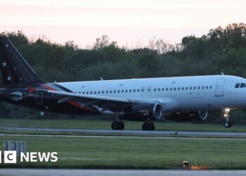 Plane carrying passengers from cruise ship hit by virus lands in UK