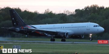 Plane carrying passengers from cruise ship hit by virus lands in UK