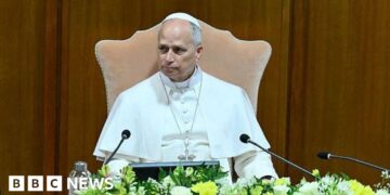 Pope Leo says AI must be 'disarmed' in first major teaching