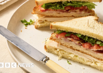 Posh sandwich has more salt than nearly five cheeseburgers