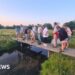 Project to bring wildlife closer to city people