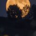 Rare 'Blue Moon' set to light up UK skies