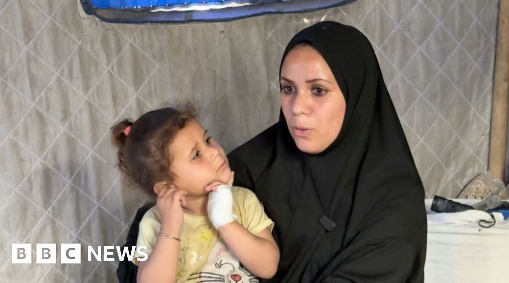 Rats and weasels infest camps for displaced Gazans