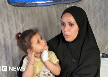 Rats and weasels infest camps for displaced Gazans