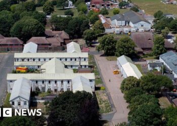 Reform pledges to open migrant detention centres in Green-voting areas