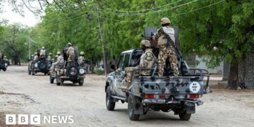 Senior IS leader killed by US and Nigerian forces