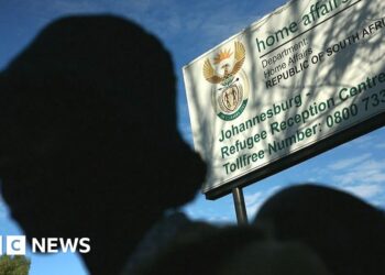South Africa's top court bars repeat asylum applications