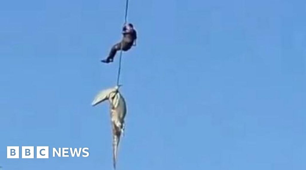 South African police officer lowered into crocodile-infested river to recover human remains