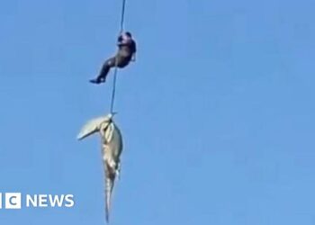 South African police officer lowered into crocodile-infested river to recover human remains