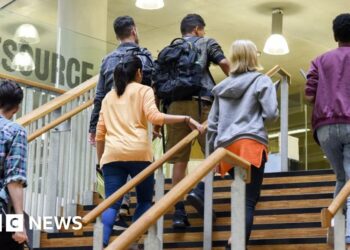 Students at risk if universities go bust, say MPs