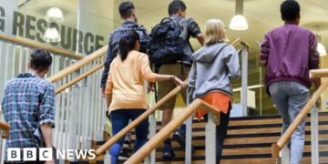 Students at risk if universities go bust, say MPs