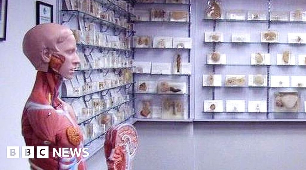Tasmanian government apologises over stolen body parts scandal