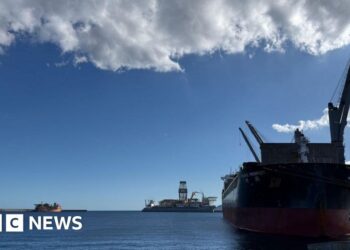 Tenerife medics poised for arrival of virus-hit cruise ship