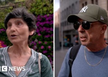 Tenerife resident calls plan 'reckless' as hantavirus ship approaches