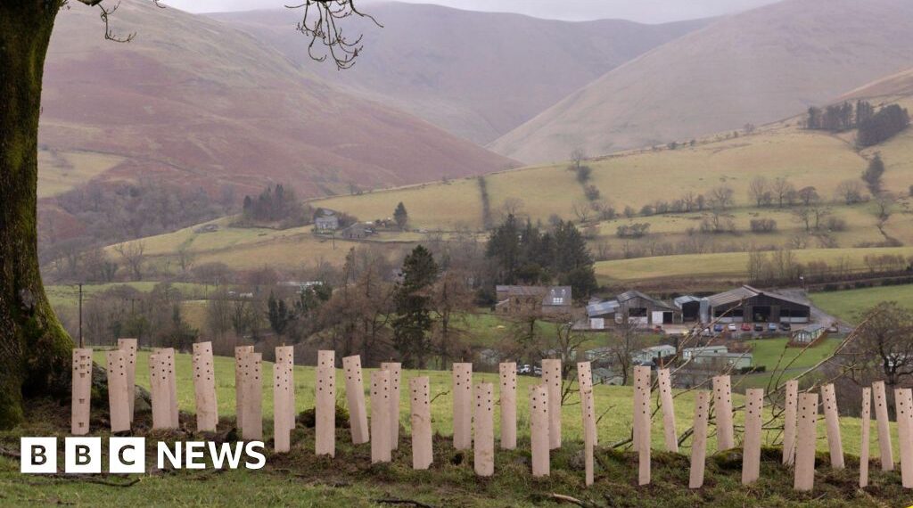 Thousands of trees creating habitat 'powerhouses'