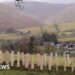 Thousands of trees creating habitat 'powerhouses'
