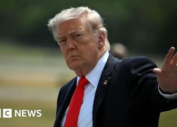 Trump says US to 'guide' stranded ships through Strait of Hormuz