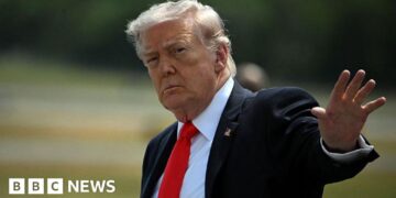 Trump says US to 'guide' stranded ships through Strait of Hormuz
