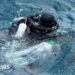 Two bodies of missing Italians recovered from inside Maldives cave