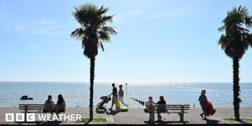 sunny scene of a coastal path where people are sitting on benches with other people walking along next to the glistening sea with blue skies overhead