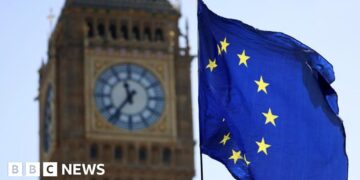 UK officials suggested single market for goods with Europe