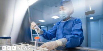 UK scientists developing Ebola vaccine that could be ready for trials in months