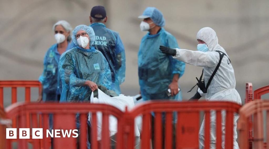 US and French nationals test positive for hantavirus after leaving ship