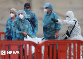 US and French nationals test positive for hantavirus after leaving ship