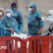 US and French nationals test positive for hantavirus after leaving ship