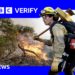 Uncontrolled California wildfires seen from space