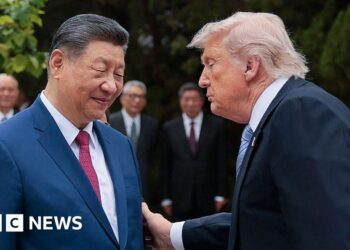 What China critics in Maga movement make of Trump's Beijing trip