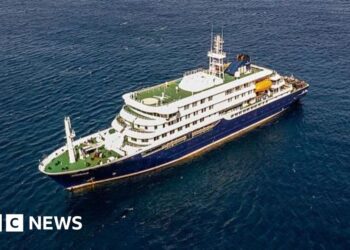 What is the cruise ship hantavirus and how does it spread?