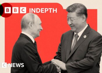 What really holds China and Russia together