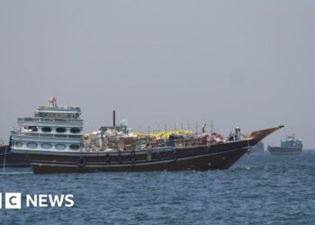 What we know about Trump's 'Project Freedom' aimed to help stranded ships through Strait of Hormuz