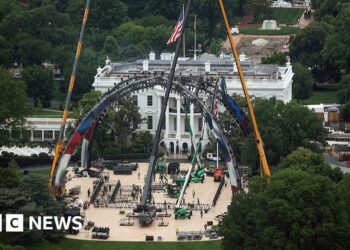 White House erects UFC cage ahead of 250th anniversary celebration