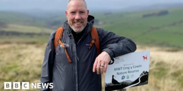 Why Isle of Man is 'ideal' for building rainforests