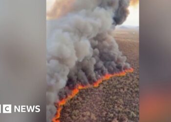 Wildfire tears through hundreds of acres in Arizona