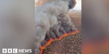 Wildfire tears through hundreds of acres in Arizona